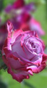 Deep Water фото 1